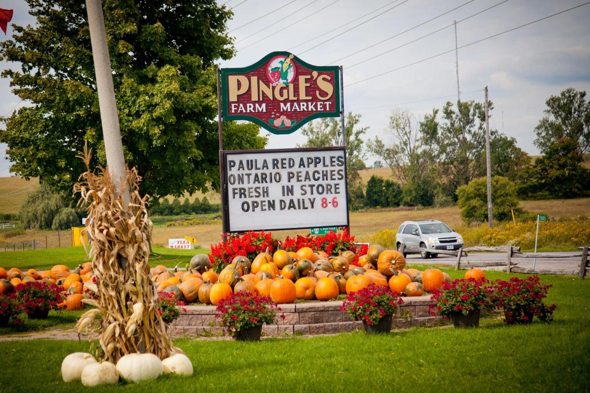 Holiday Inn Express Hotel & Suites Clarington - Bowmanville, An Ihg Hotel Zewnętrze zdjęcie